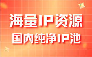 新手爬虫工程师如何选择住宅代理IP和共享代理IP？